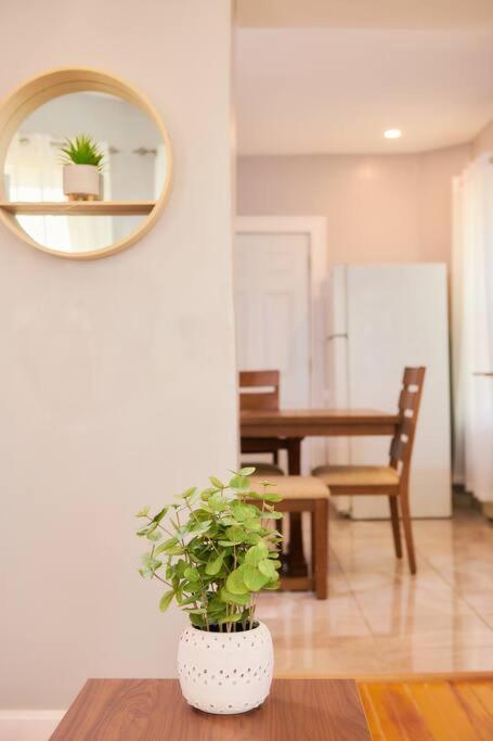 Cozy Apartment 1St 10Min Walk Downtown And City View Providence Exteriör bild